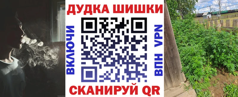 Виды наркотиков купить Балей Кокаин  СК  АМФЕТАМИН  Codein  Канабис  Меф мяу мяу 