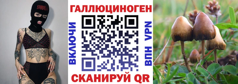 Галлюциногенные грибы мухоморы  Балей 